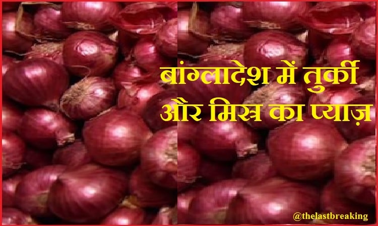 इंडिया ने लगाया एक्सपोर्ट पर प्रतिबंध, अब तुर्क-मिस्र से प्याज़ ख़रीदेगा बांग्लादेश